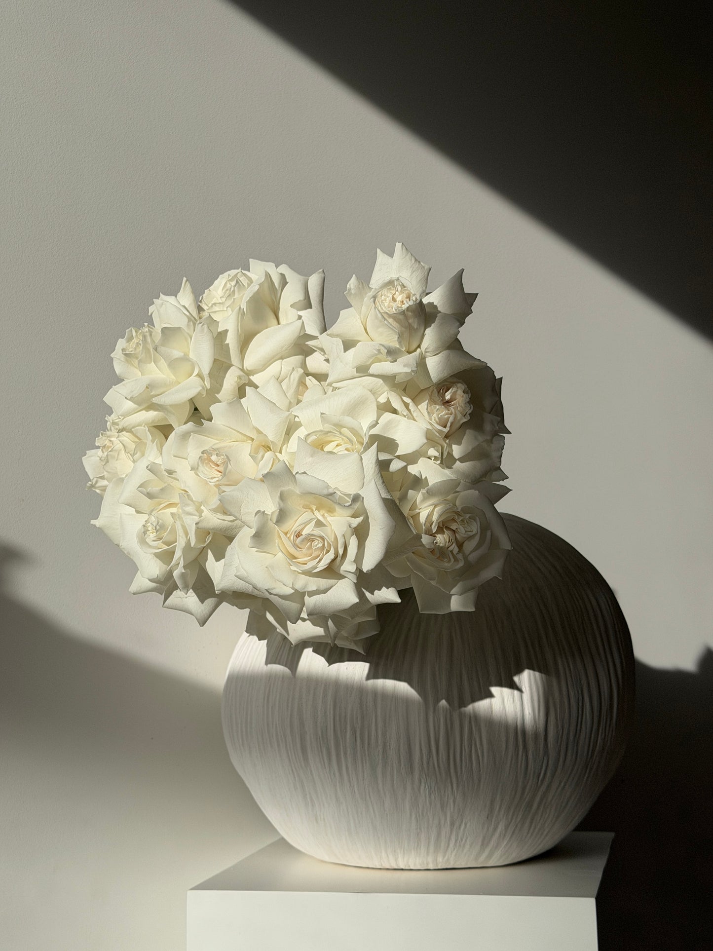 Rose en Masse | Blanc