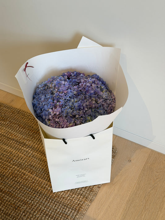 Hydrangea en Masse | Dusk